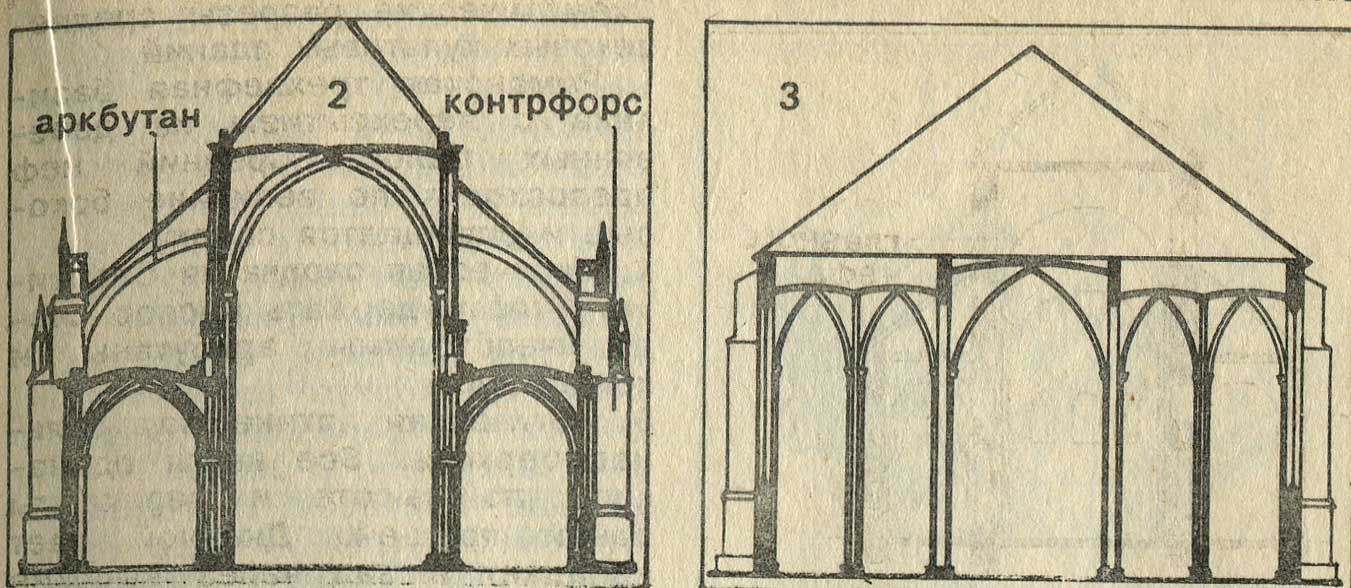 Схема контрфорсов анатомия