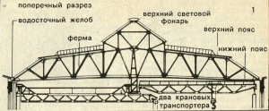 XX век