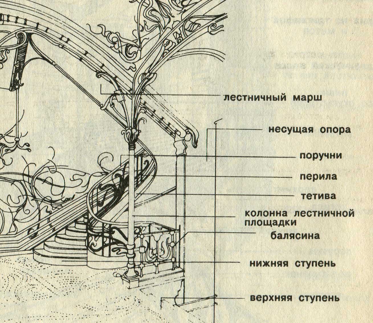 Внутренние лестницы |