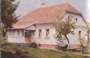 Дом из села