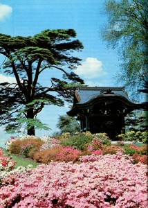 Японские ворота в сад