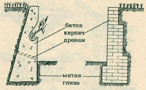 дренаж