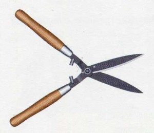 Garden shears