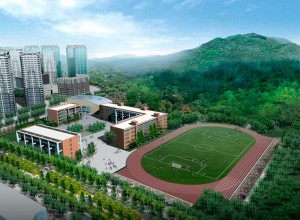 Новый футбольный