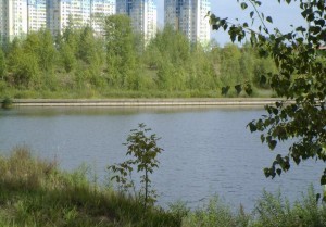 Строительство гостиничноторгового развлекательного комплекса в микрорайоне Мещерское озеро 