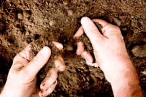 The coarse-grained soils