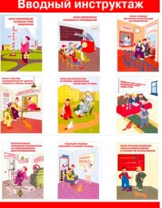 программа вводного инструктажа