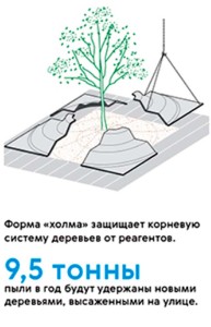 Специальная система защиты деревьев в Москве на Таганской