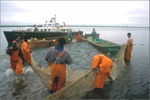 Закон о рыболовстве 2016