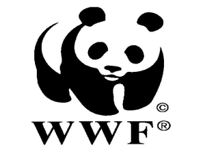 Фонд WWF