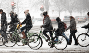 Международный Зимний велоконгресс