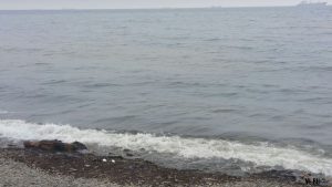Жителями Владивостока обнаружен очередной разлив нефтепродуктов