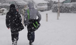 05.02. 2018 Свободное посещение школ в Москве из-за снегопада