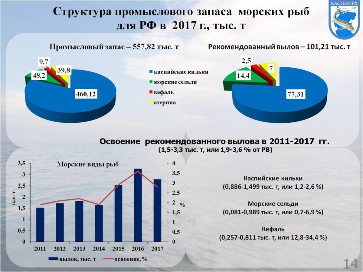 Каспий инфо. КАСПНИРХ Астрахань официальный сайт. Каспий инфо Астрахань официальный сайт. Каспий информ. КАСПНИРХ подсчет рыбы.