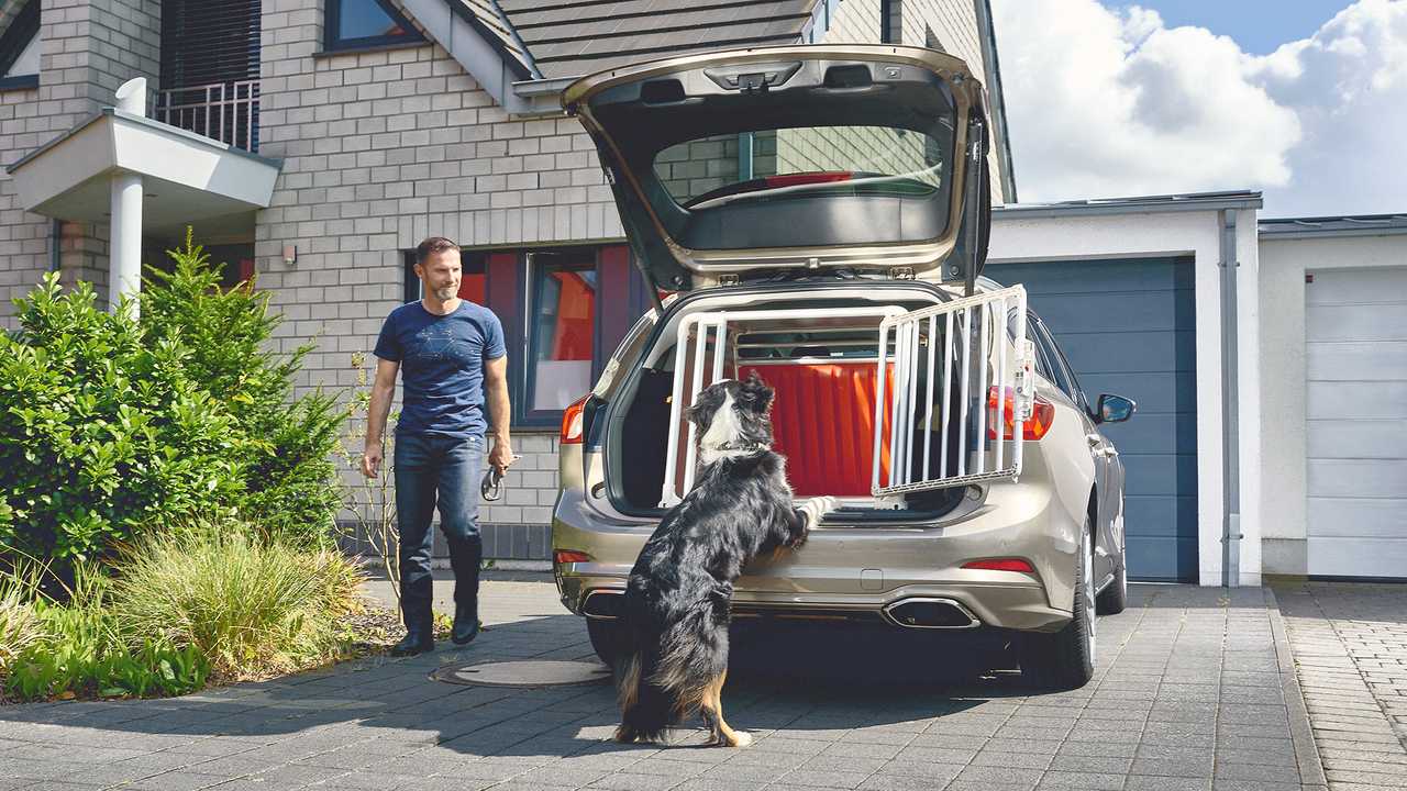 Ford Focus Dogbox 2019