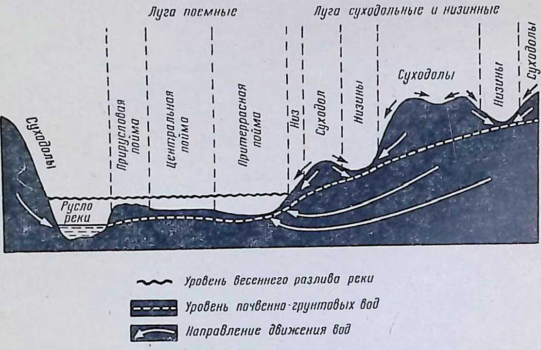 Типы сенокосов и пастбищ - Строительные СНИПы, ГОСТы, сметы, ЕНиР,