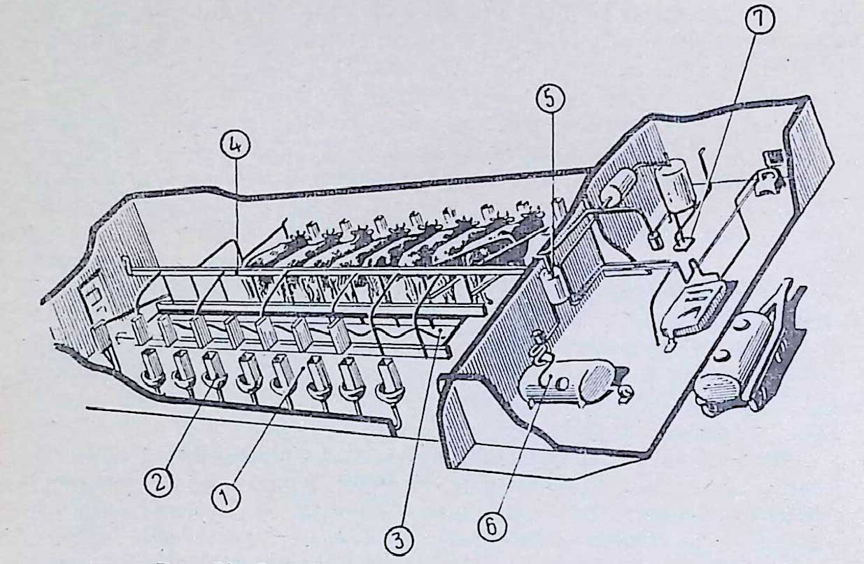 Схема доильной площадки типа «елочка»