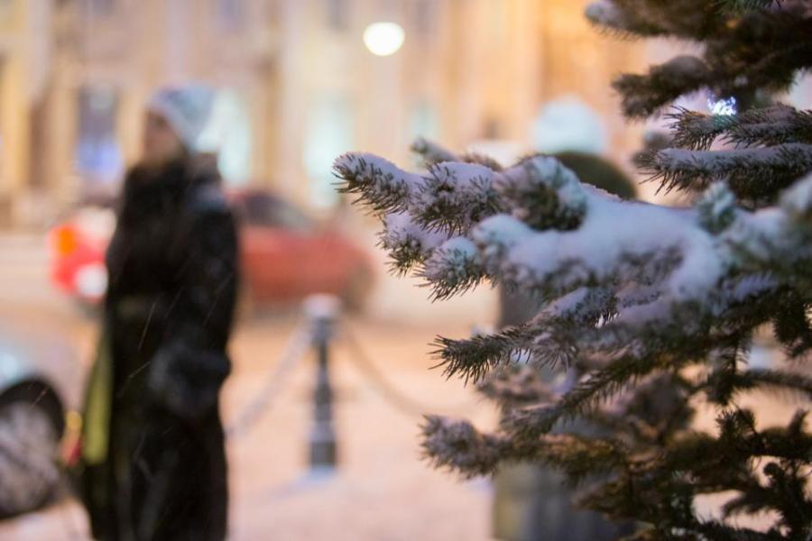 Синоптики рассказали, какая погода будет в Приморье в предстоящие новогодние каникулы