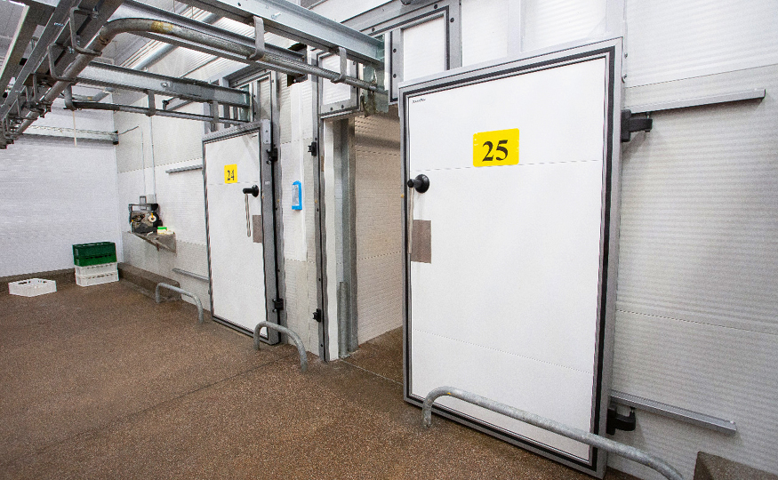 Холодильные двери для мясоперерабатывающего комбината «Тосненский» в Ленинградской области