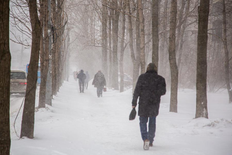 До –37 °C: в начале недели в Приморье ударят морозы
